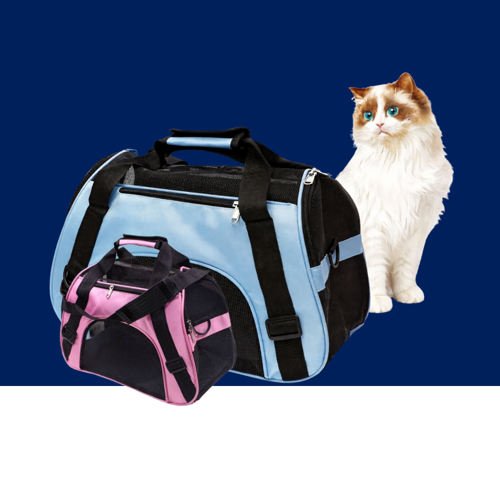 Portable Mesh Pet Carrier Handbag for Cats and Small Dogs