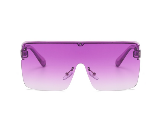 Gafas de sol: Modelo 1581