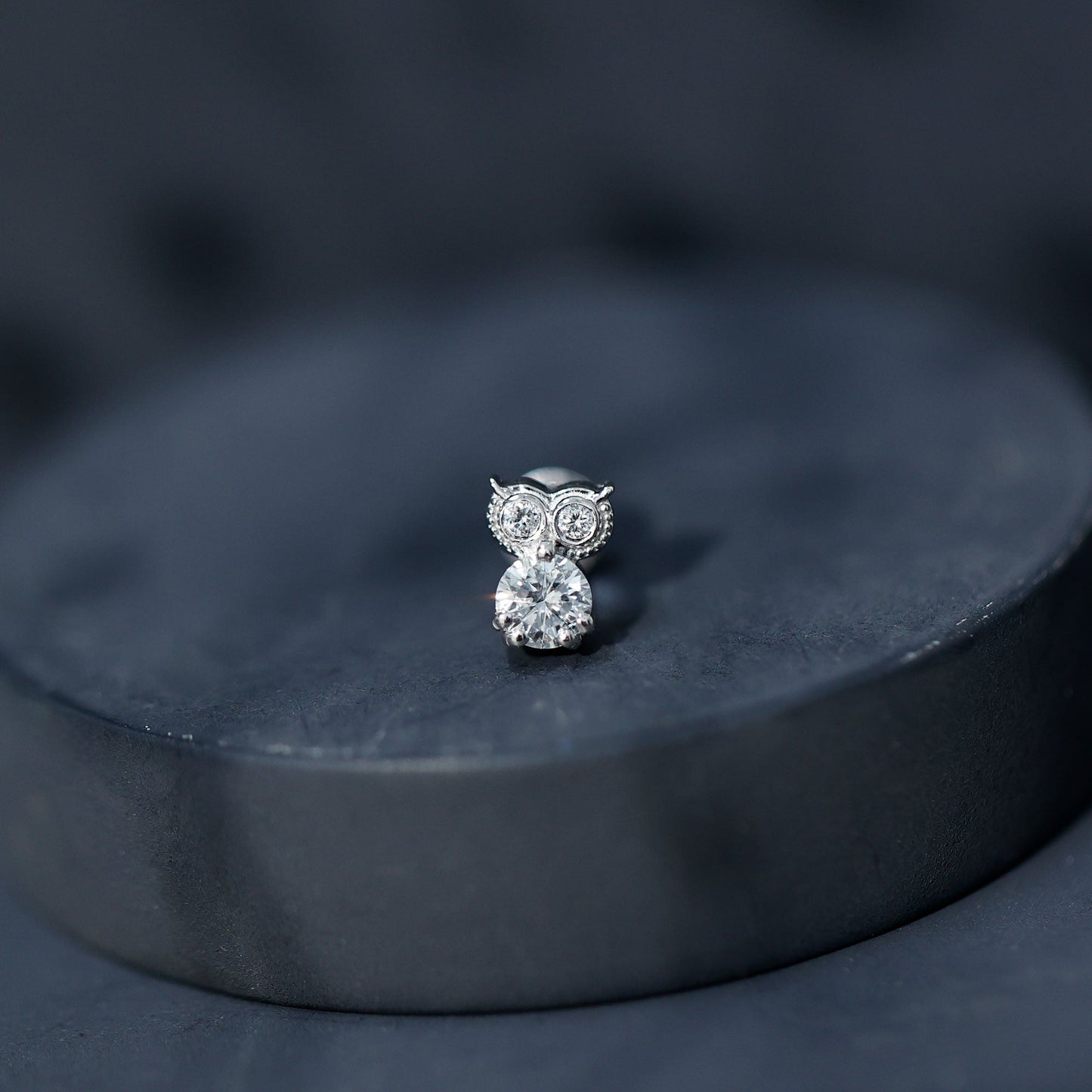 Diamond Owl Earring for Cartilage Piercing
