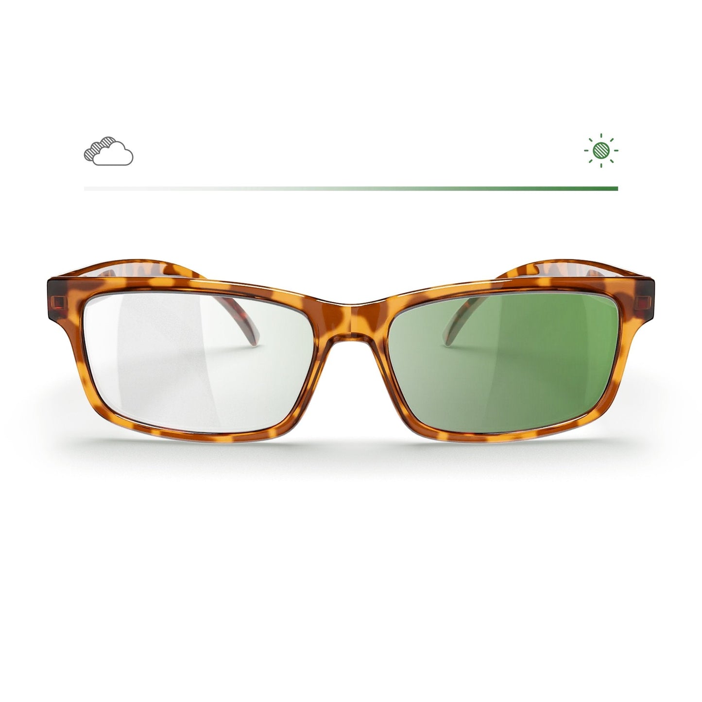Tortoise Rectangle Prescription Transitions® Colors