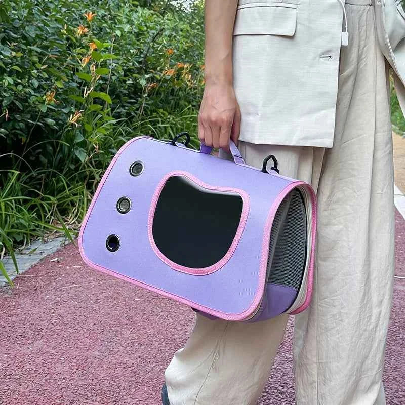 Collapsible Pet Carrier with Plastic Panels and Top and Side Entry