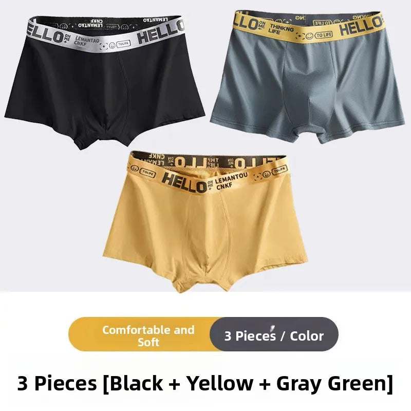 Men's Mid-Waist Thin Briefs Breathable Comfortable Large Size Sports Boxer Shorts Youth Flat Briefs Underwear Polyester Fiber