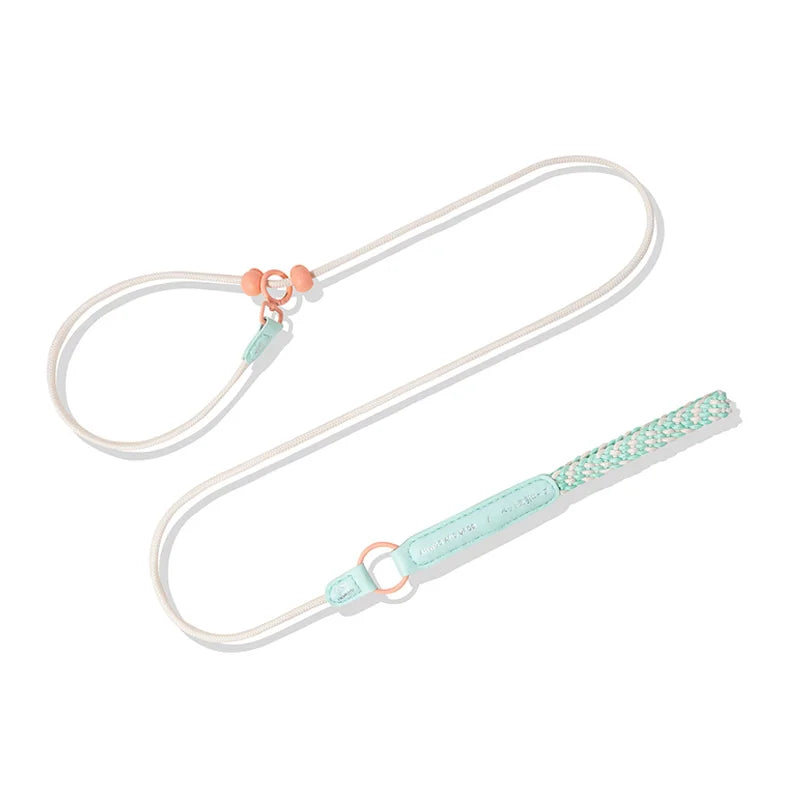 New Durable Nylon Pet P Chain Dogs Slip Training Lead Adjustable Puppy Dog Training Leash Collar For Small Medium Large Dogs