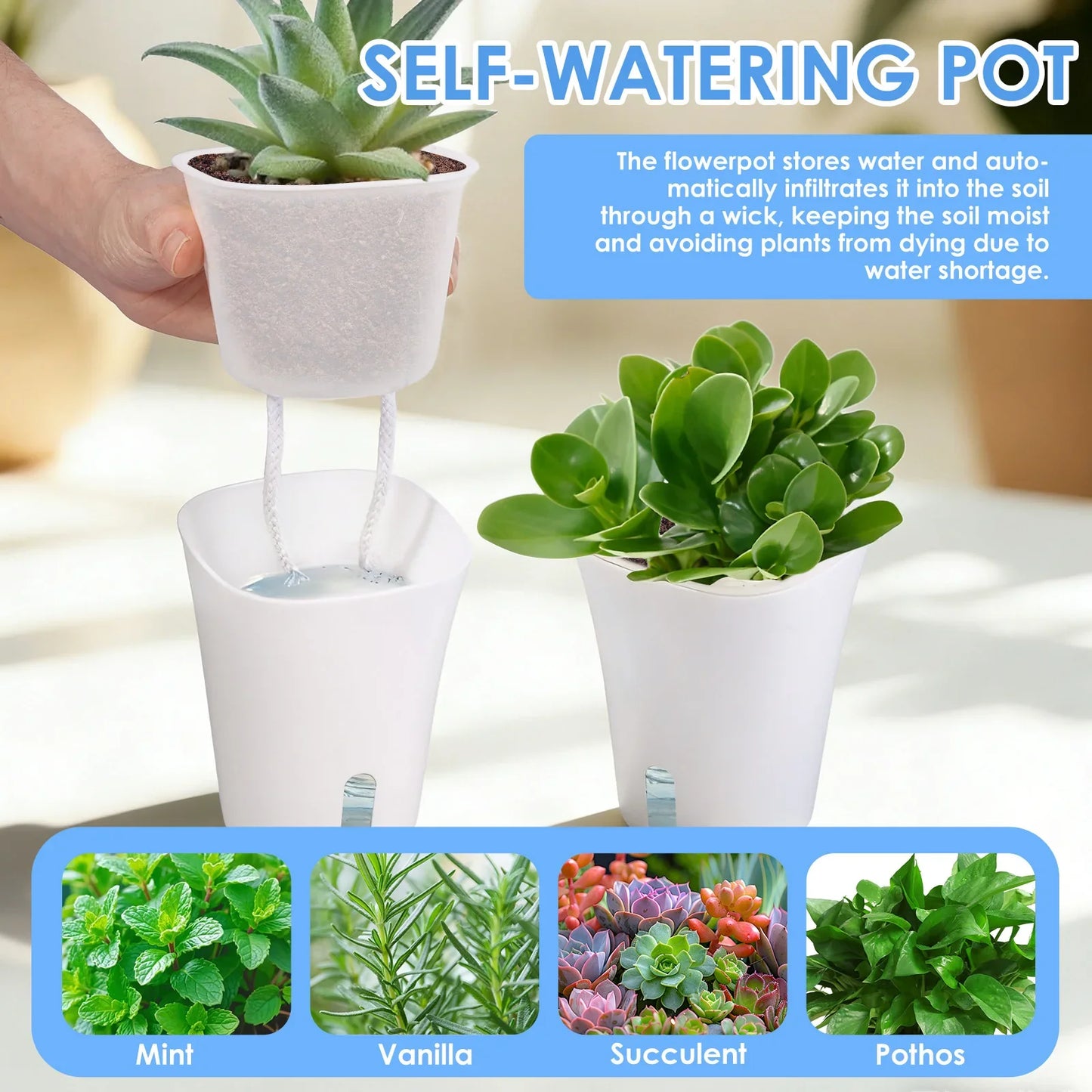 10 Pcs Self Watering Planter Lazy Hydroponic Flower Pot Plastic