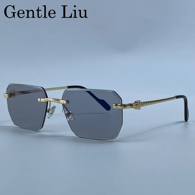 Y2K Rimless Square Sunglasses Men 2026 Luxury Vintage Punk Sun Glasses Hip Hop Metal Frame Steampunk Shades Leopard Head Eyewear