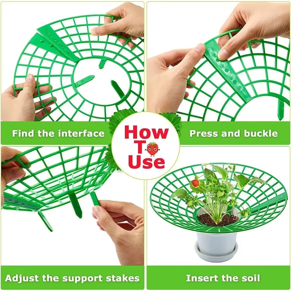 1/3pcs Round Strawberry Stand Anti-Corrosion Anti-Ground Strawberry