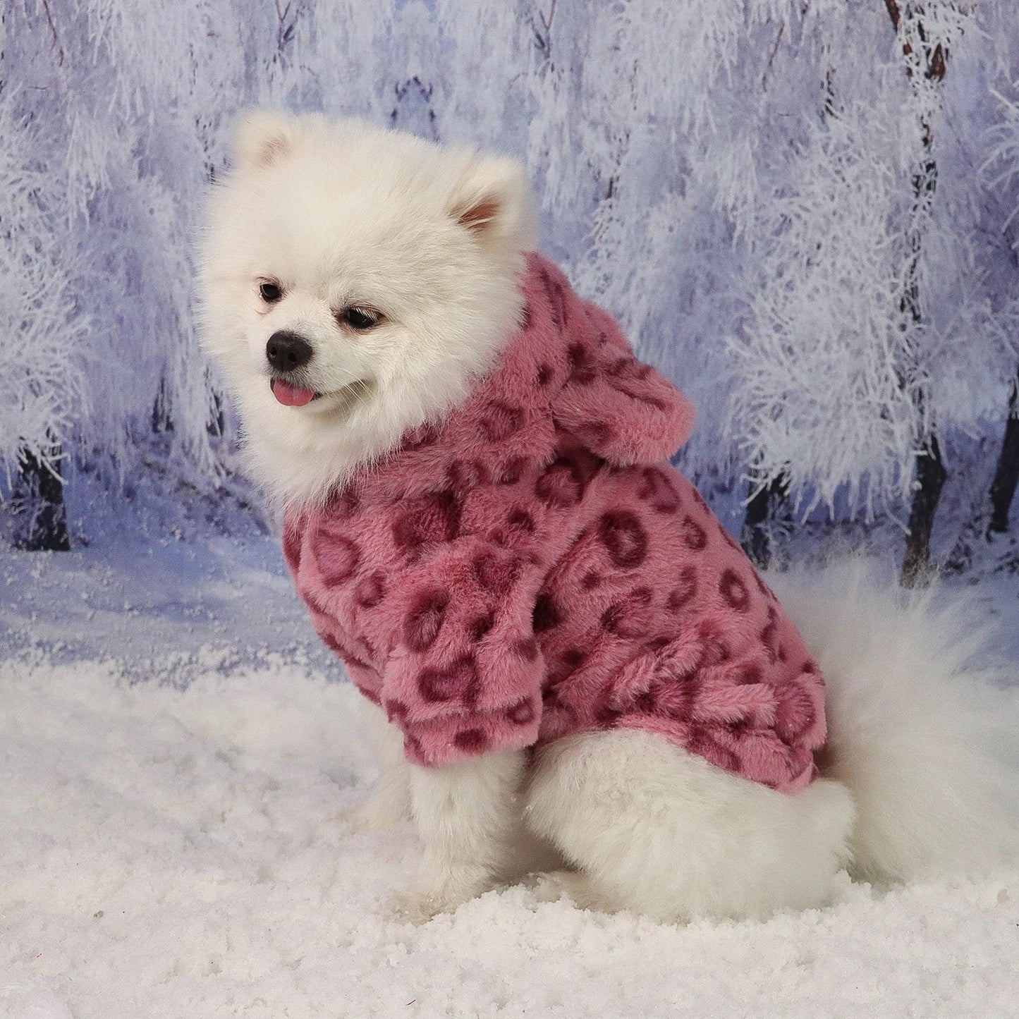 Pet Warm Clothes for Dog Cat Puppy Jacket with Lovely Ear Hat Fuzzy Coat  Sweatshirt Dog Costume Outfits for Small Medium Dog fo