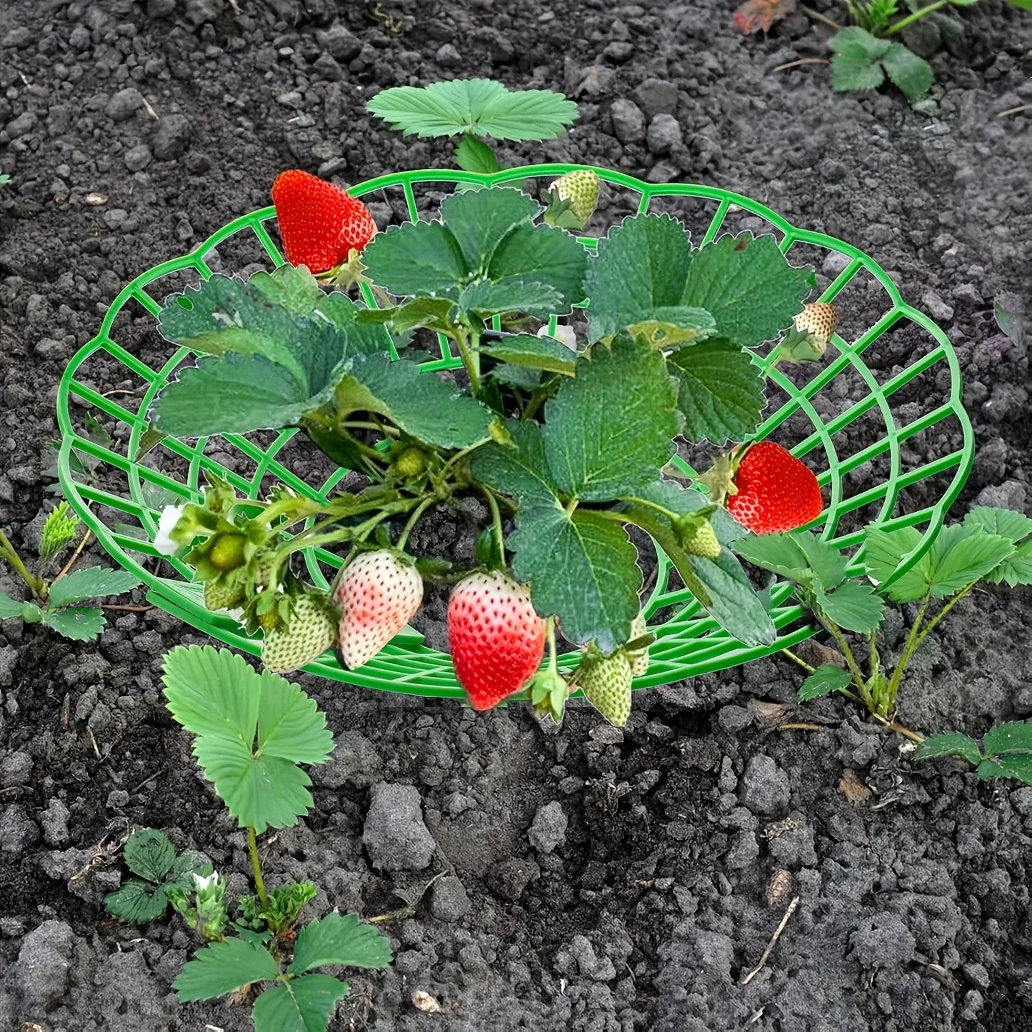 12pcs Green Strawberry Planting Rack, 3 Sturdy Legs Stand Planter Pot
