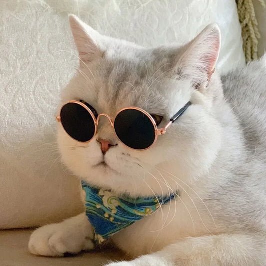 Gafas de sol para perros y gatos – Accesorios para fotos de mascotas con protección UV