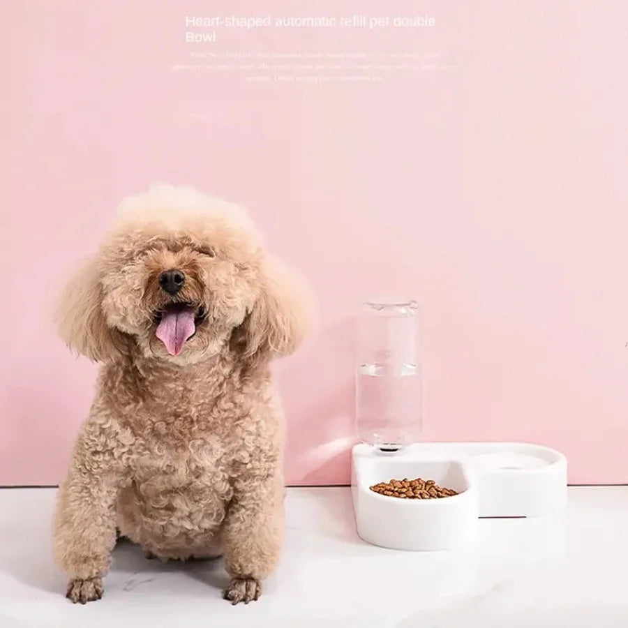 Cat bowl and dog bowl double-bowl automatic water dispenser and food bowl, automatic water dispenser for dogs and cats