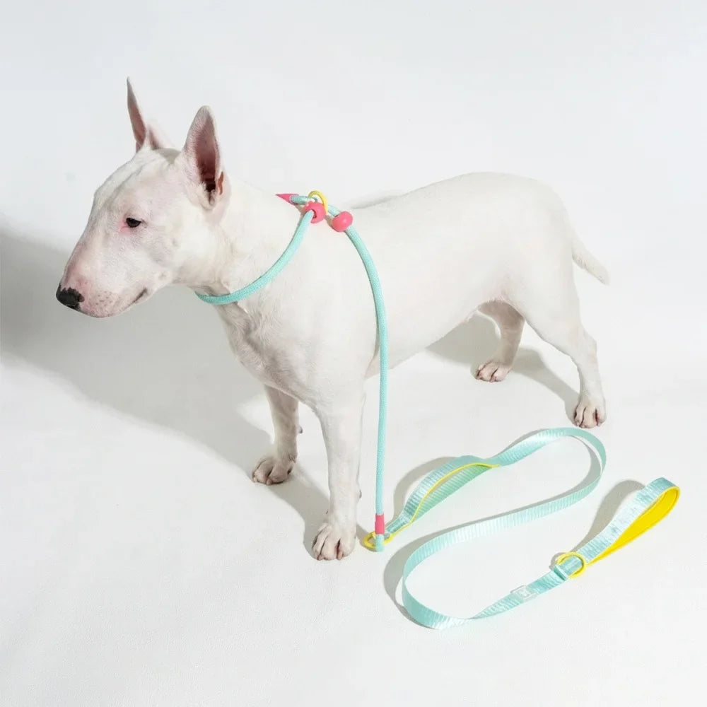 Double Handle Pet Dog Training Round Rope Light Weight Nylon P Chain Adjustable for Small Medium Dogs Walking Leash Pet Supplies