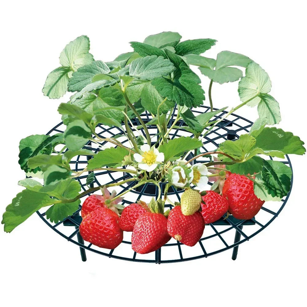 Garden Strawberry Stand Plant Support Fruits Growing Racks with 4 Sturdy Legs Growing Frame Fruit Stand