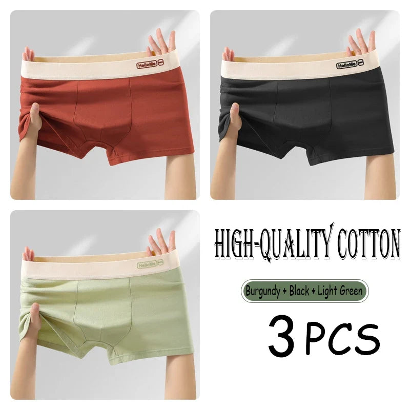 2/3PCS Cotton Men's Underwear Simple Fashion Comfortable Breathable Multi-Color Underwear Combination Sports Stretch Underwear