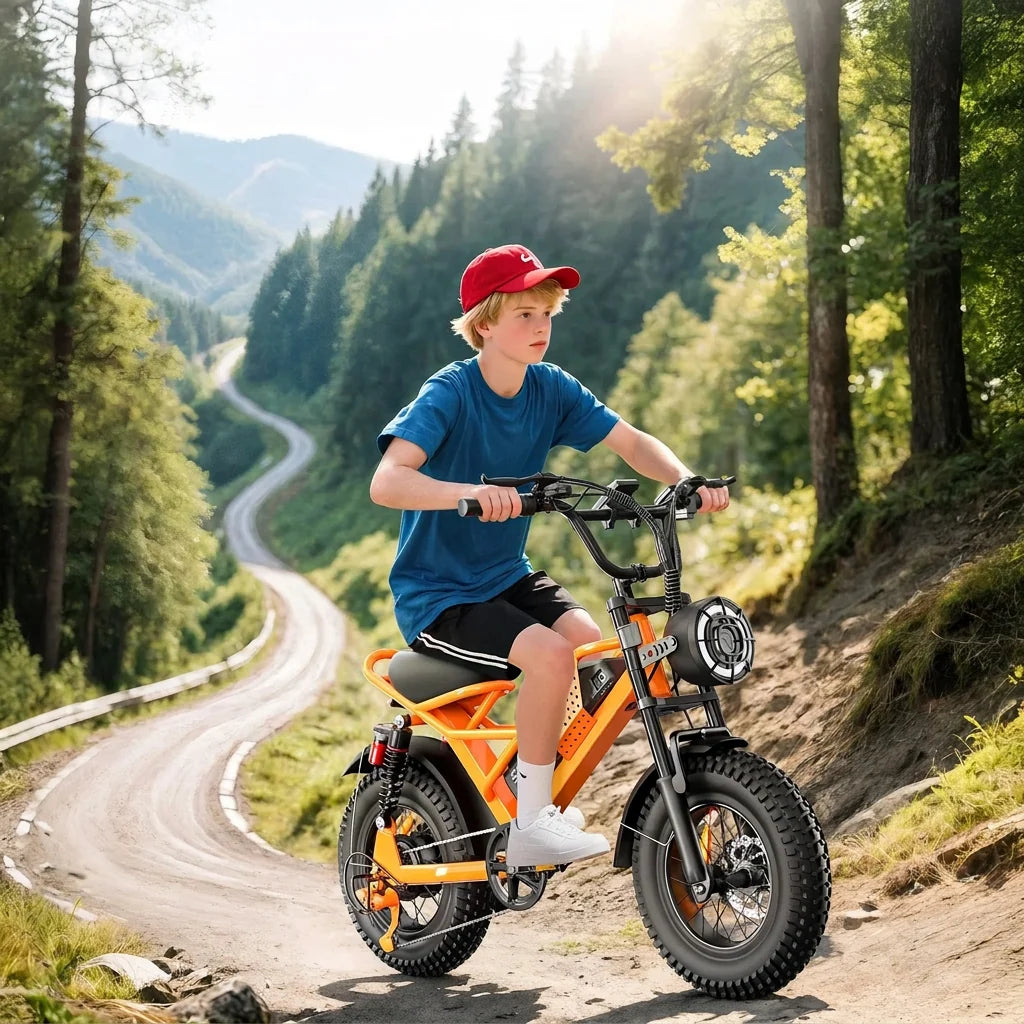 Fat Tire Electric Bike for Adults All-Terrain Dual Suspension