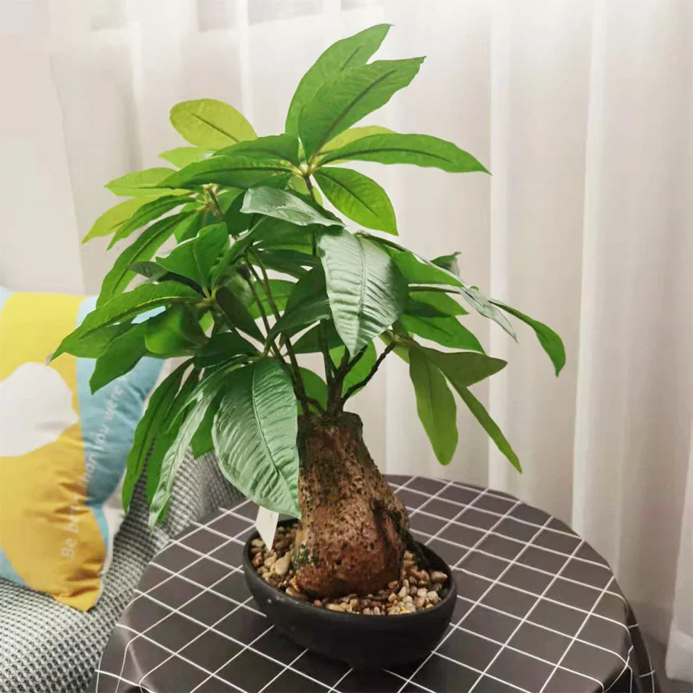 Dlight Decor 43cm Potted Monstera Money Tree for Home and Garden Decor
