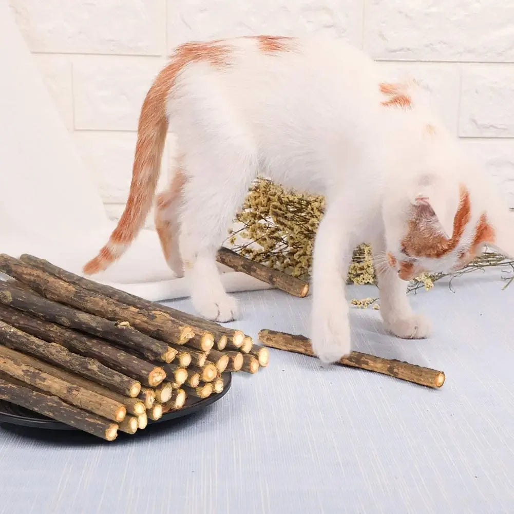 15pcs Natural Matatabi Cat Catnip Toy Kitten Molar Chew Stick Pet