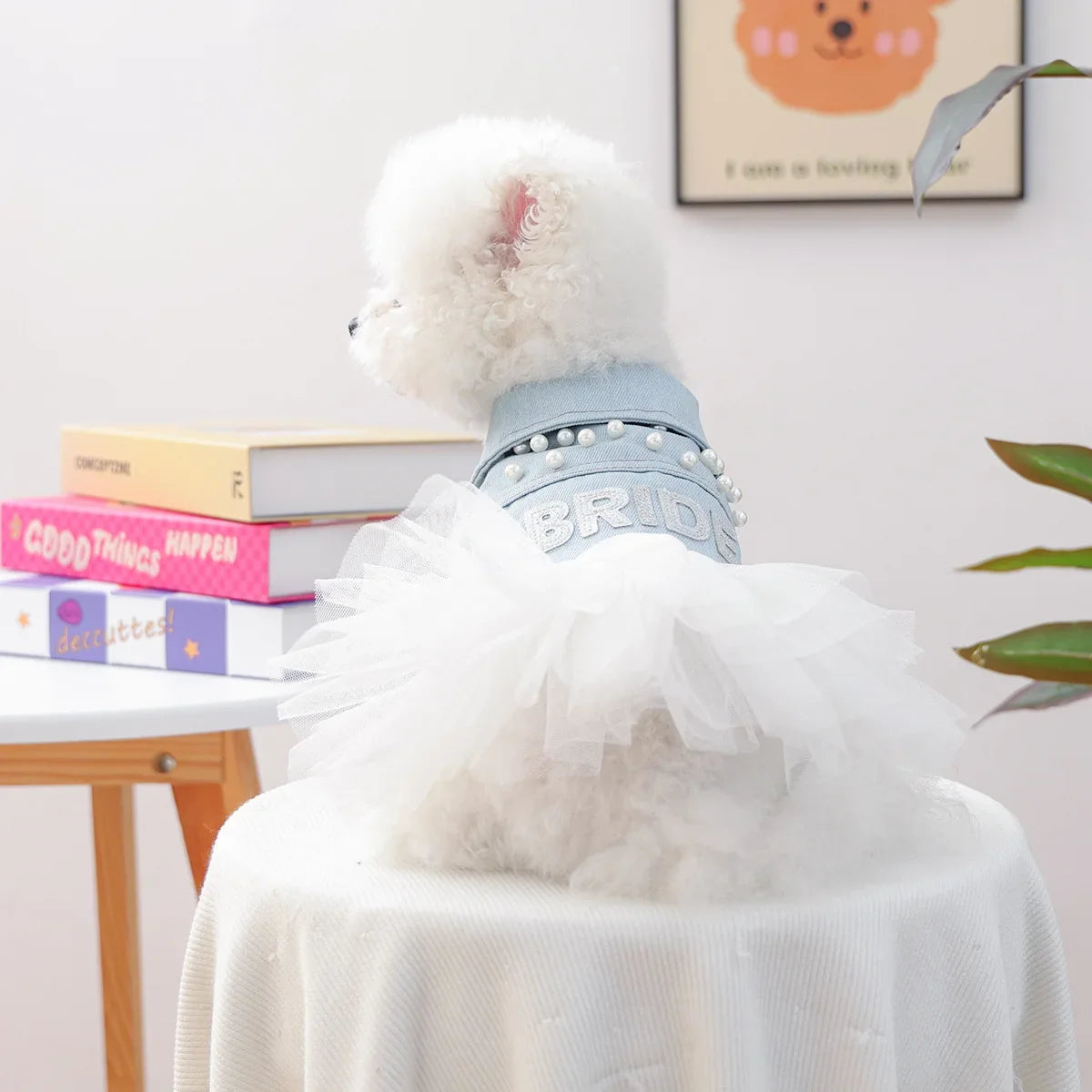 Bride Apparel For Dogs Autumn Denim Coat With Tutu Skirt Pet Dresses For Small Puppy Animal Cat Dachshund Suit Chihuahua Clothes