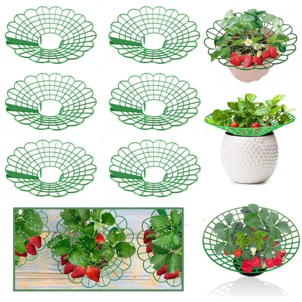 1/3pcs Round Strawberry Stand Anti-Corrosion Anti-Ground Strawberry