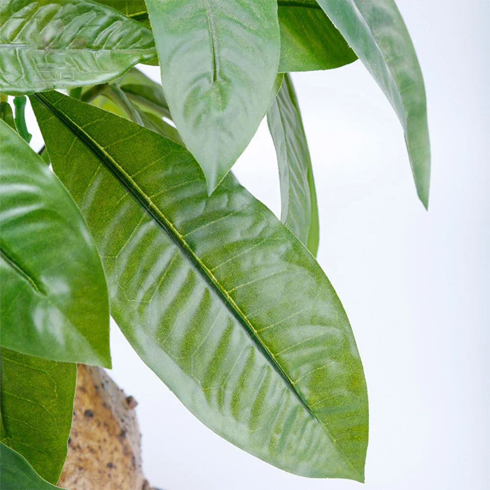 Dlight Decor 43cm Potted Monstera Money Tree for Home and Garden Decor