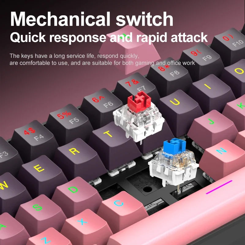 Mechanical keyboard and mouse set, 60% Portable Mini Wired Keyboard and Mouse combos, 61 Keys Phantom RGB keyboard and mouse kit