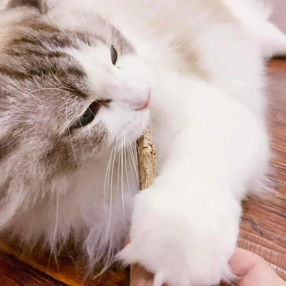 15pcs Natural Matatabi Cat Catnip Toy Kitten Molar Chew Stick Pet