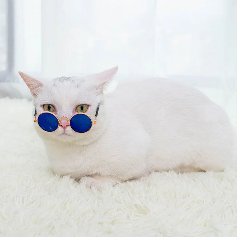 Cat & Dog Sunglasses – UV Protection Pet Photo Props