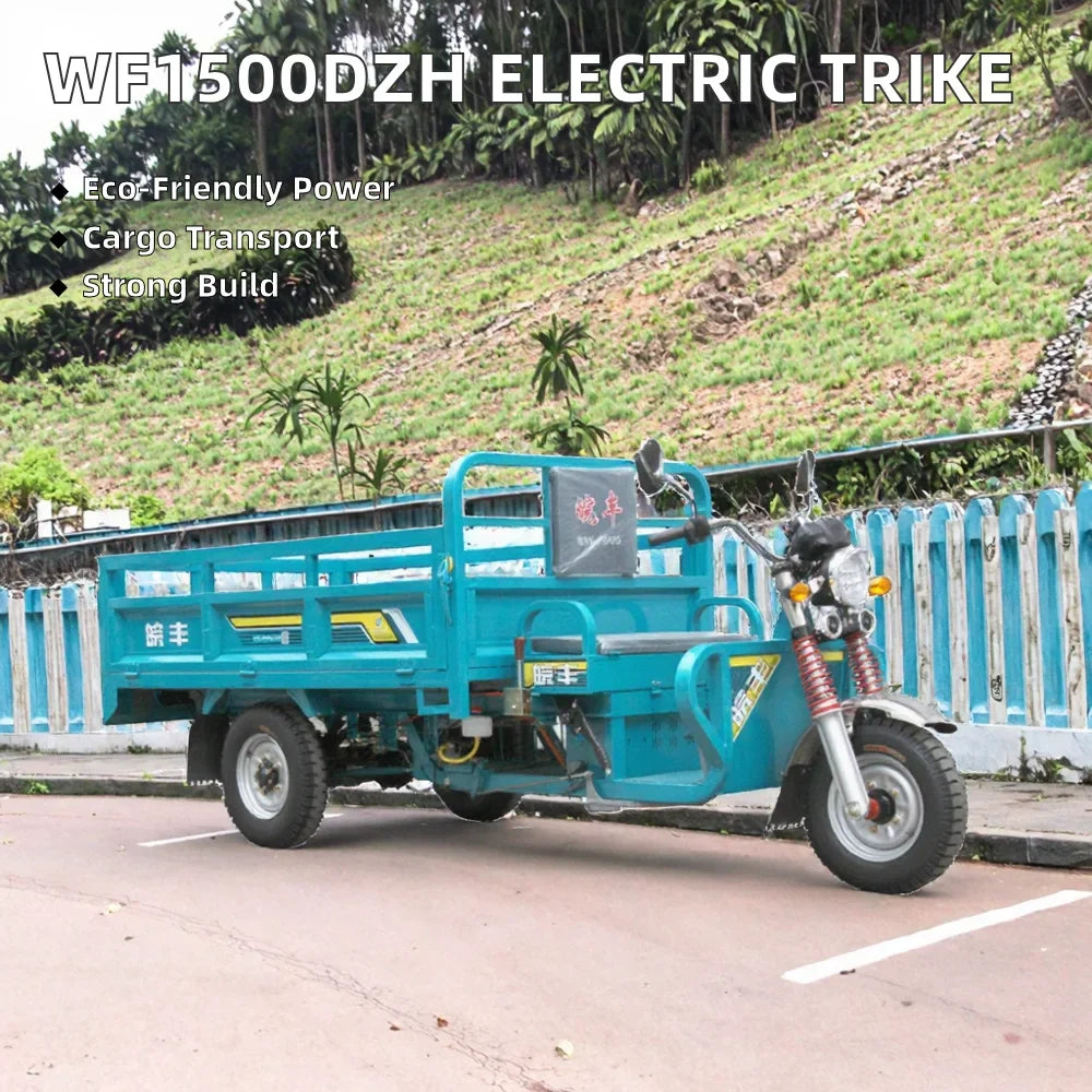 Electric Cargo Tricycle 3000W Motorized 3-Wheel Passenger Bike Adults EEC/DOT Certified Open Body Electric Tricycle Sale