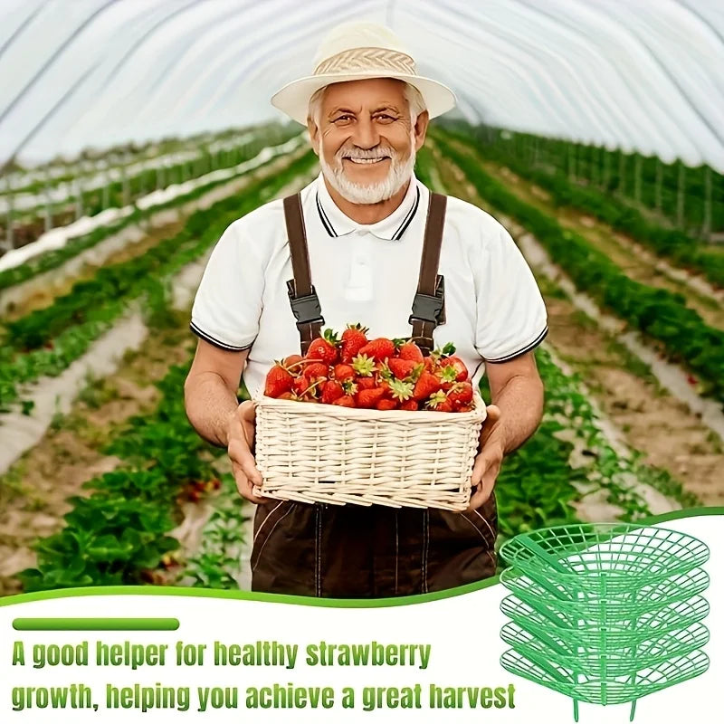 12pcs Green Strawberry Planting Rack, 3 Sturdy Legs Stand Planter Pot