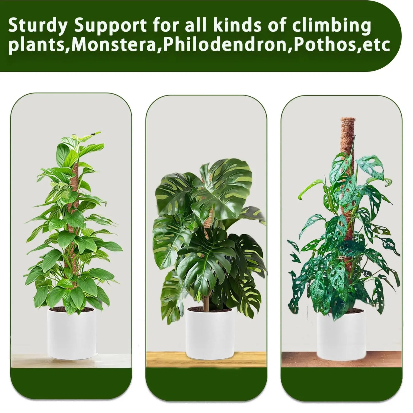Moss Pole 38/43/53CM Monstera Plant Support Stackable Moss Poles for Plants Coir Totem Pole Tall Moss Pole for Climbing Plants