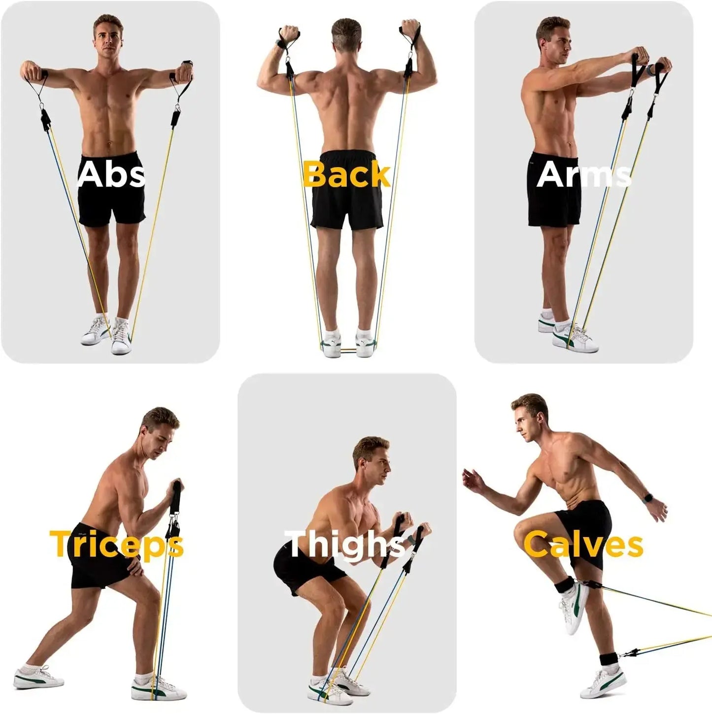 300lb Resistance Bands with Dumbbell Harness