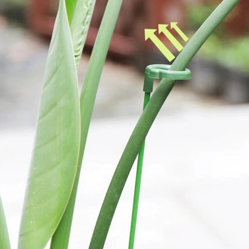 10pcs Potted Plant Support Racks Durable Floral Climbing Stands Home Garden Decor Gardening Tools