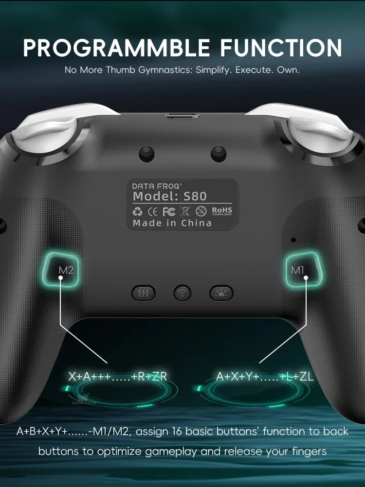 DATA FROG Wireless Game Controller for Switch / OLED / Lite / Switch 2 Console Programmable Joystick Gamepad for PC