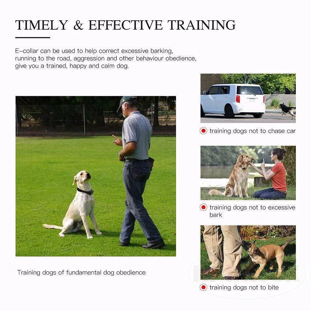 H880 Black Remote Dog Training Collar, For 1/2/3 Dogs, Shock, vibration and beep Function, Rechargeable and Waterproof