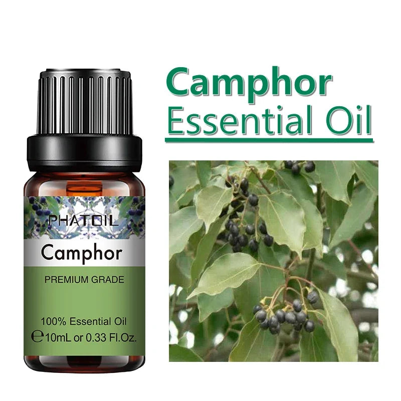 PHATOIL 10ml Ginger Essential Oil for Perfume Candles Making Spa Massage Humidifier Rose Jasmine Pine Needles Tangerine Thyme