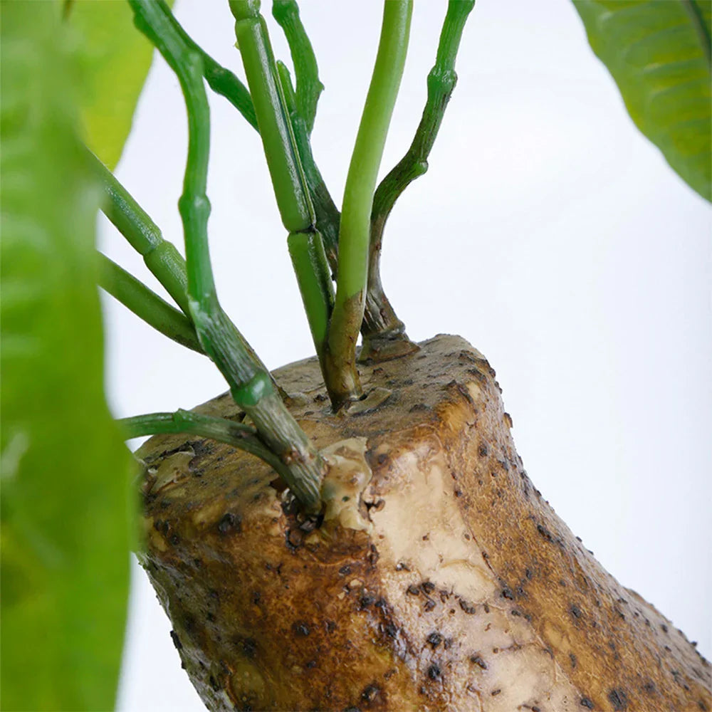 Dlight Decor 43cm Potted Monstera Money Tree for Home and Garden Decor