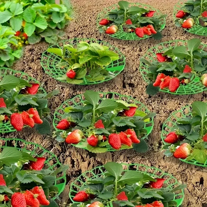 10pcs Green Strawberry Planting Racks, Watermelon Support Frames
