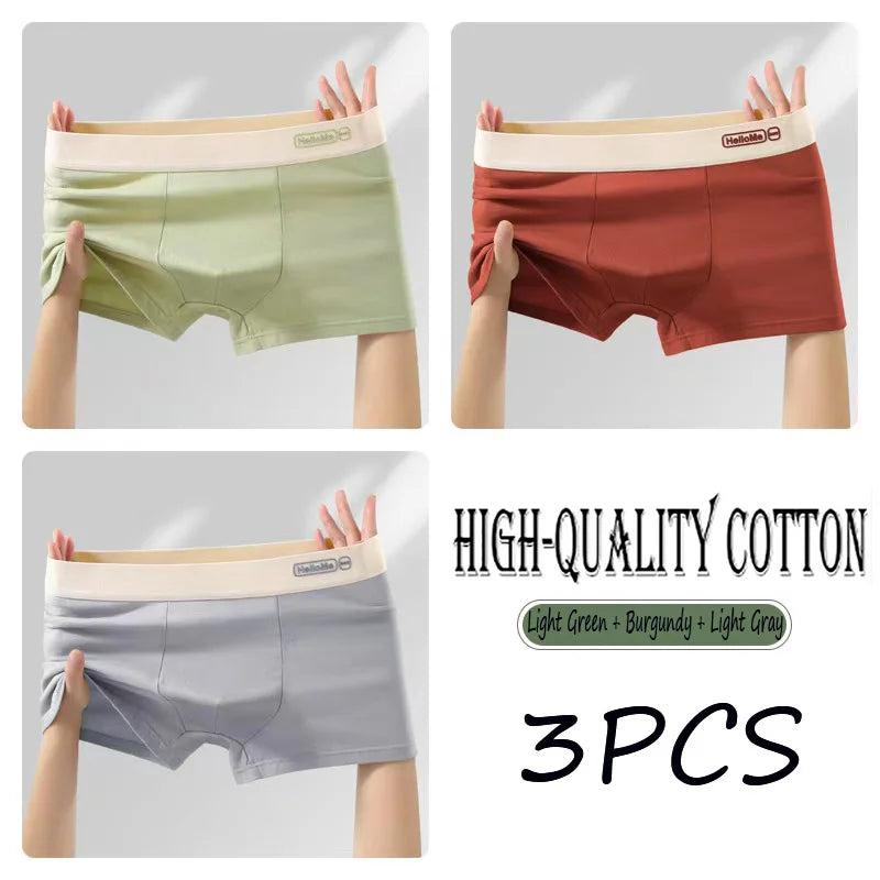 2/3PCS Cotton Men's Underwear Simple Fashion Comfortable Breathable Multi-Color Underwear Combination Sports Stretch Underwear