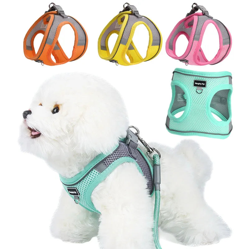 Adjustable Dog Harness & Leash Set for Small Dogs – Comfortable & Safe Walking Gear