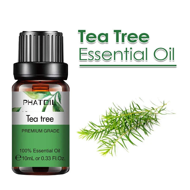 PHATOIL 10ml Ginger Essential Oil for Perfume Candles Making Spa Massage Humidifier Rose Jasmine Pine Needles Tangerine Thyme