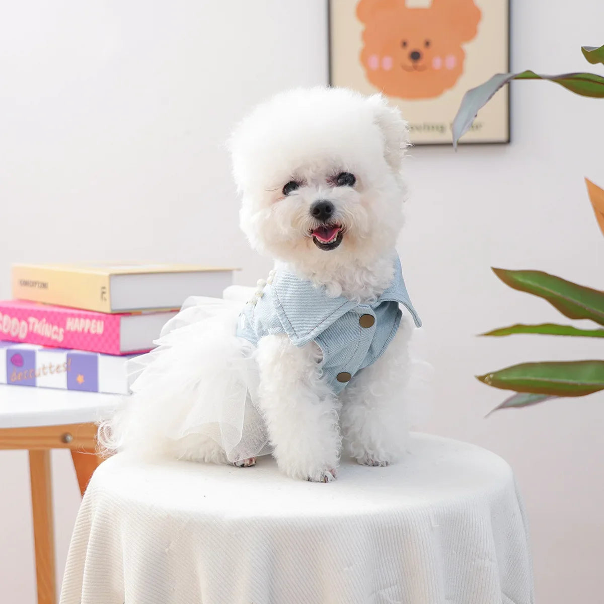 Bride Apparel For Dogs Autumn Denim Coat With Tutu Skirt Pet Dresses For Small Puppy Animal Cat Dachshund Suit Chihuahua Clothes