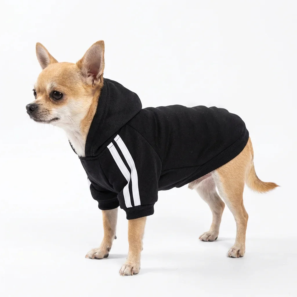 Sport Dog Clothes for Small Medium Big Large Dogs Cotton Hoodie Sweatshirt Hot Selling Warm Two-Legged Pet Outfit