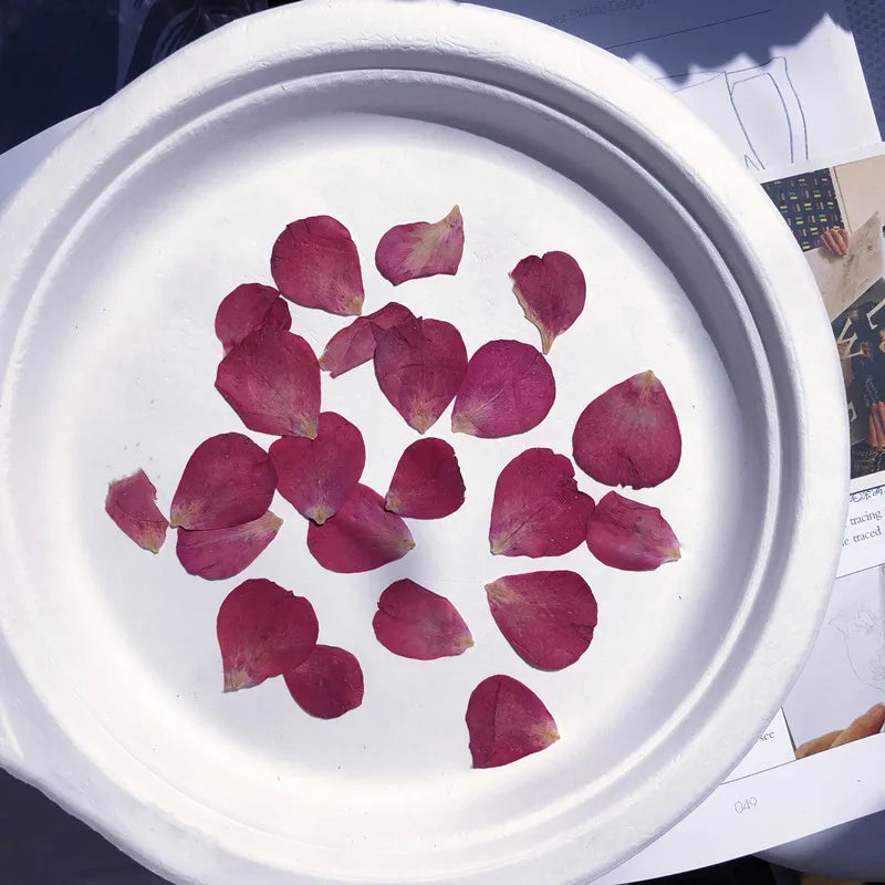 120pcs Rose Petals Mixed Pack, Dried Flowers, Pressed Flowers