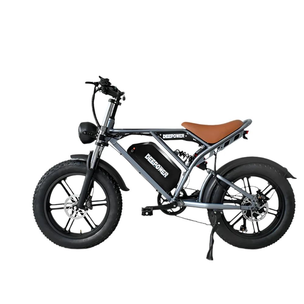 Electric Bicycle 20" Fat Tires Dual Battery 48V  55Ah