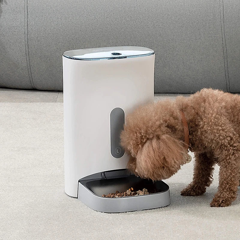 Automatic dog food dispenser with insect-proof seal and timed feeding; 4 meals/10-cup pet food dispenser