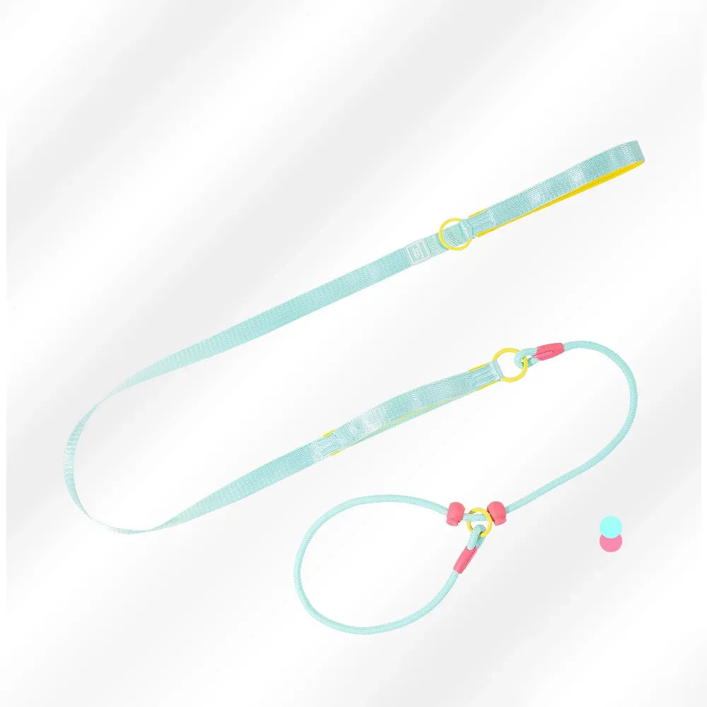 Double Handle Pet Dog Training Round Rope Light Weight Nylon P Chain Adjustable for Small Medium Dogs Walking Leash Pet Supplies