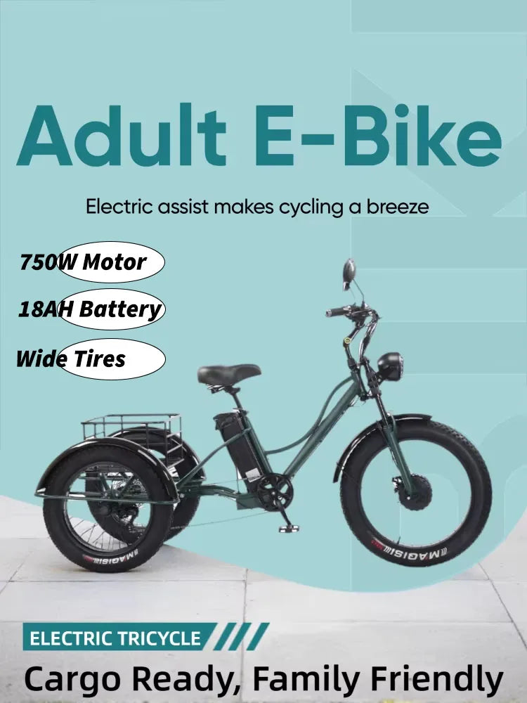 Electric Bike For Man 24-Inch 750W 48V Three Wheeled Electric Vehicle Fat Tire Pedal Powerful Electric Tricycle For Adults Elder