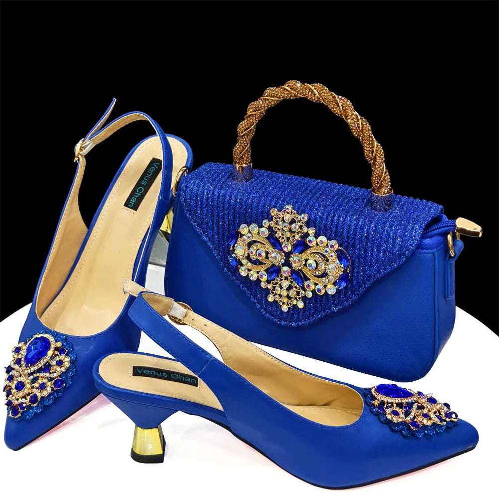 Juego de zapatos y bolsos de señora de alta calidad HAS1-23