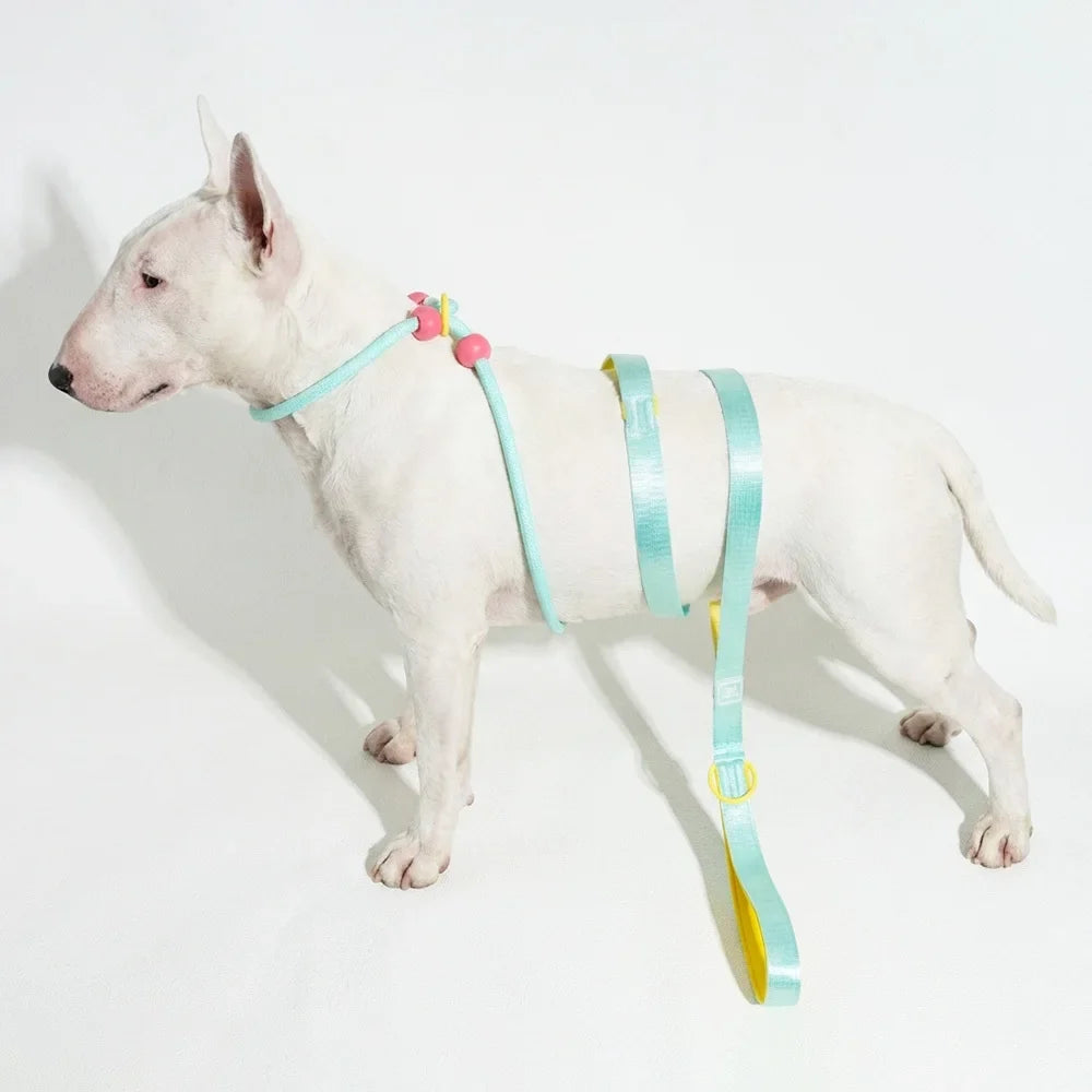 Double Handle Pet Dog Training Round Rope Light Weight Nylon P Chain Adjustable for Small Medium Dogs Walking Leash Pet Supplies