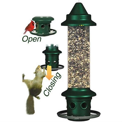 Comedero para pájaros a prueba de ardillas con anillo de percha