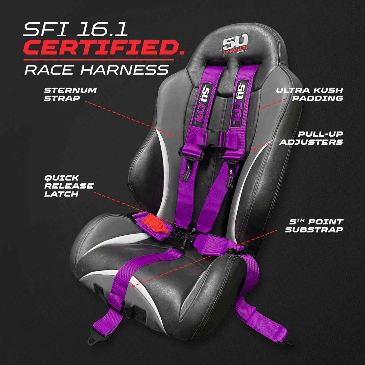 SFI Approved 2" and  3" 5 point Harness, Racing Harness